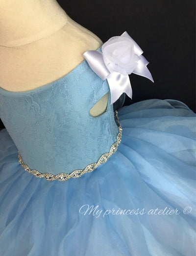 Frozen Elsa dress/ birthday princess dress/ Halloween costume/ princess costume/first birthday dress/ frozen birthday / flower girl dress